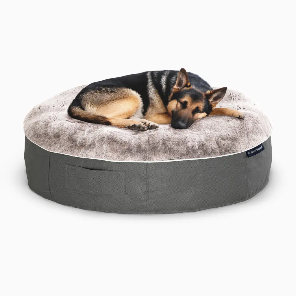 Custom 3D rendering services of a plush grey dog bed with a German Shepherd resting comfortably on it.