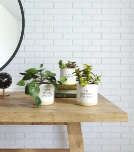 A set of potted plants displayed using 3D product rendering services for decor.