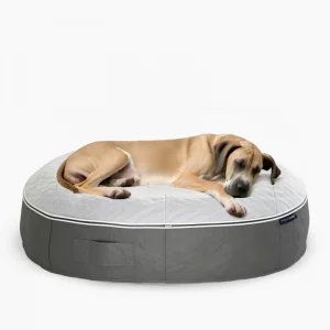 Talent shot of Extra-large dog resting on a spacious quilted bed, perfect for large breeds.